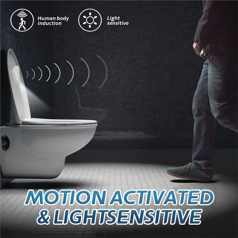Adjustable Potty Toilet Target