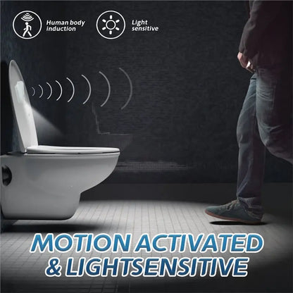 Adjustable Potty Toilet Target